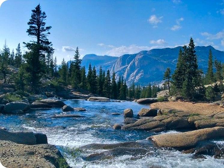 Scenic river and forest landscape in India
